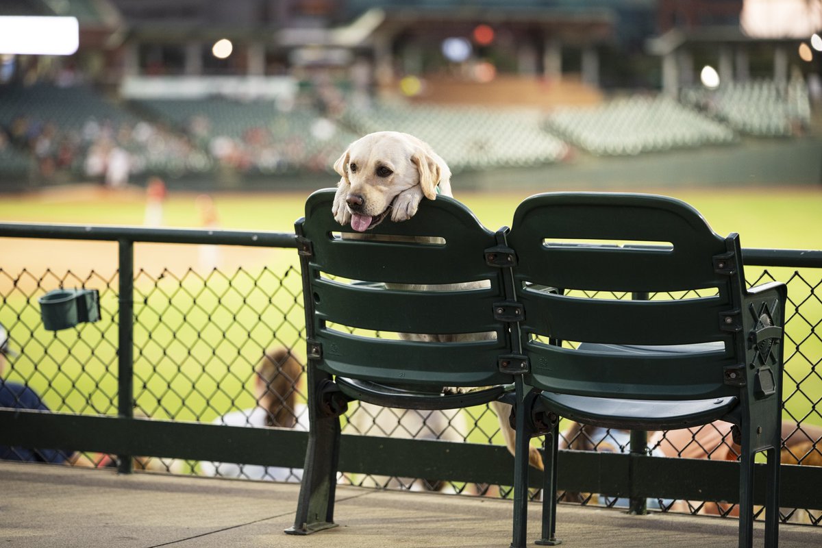 LouisvilleBats tweet picture