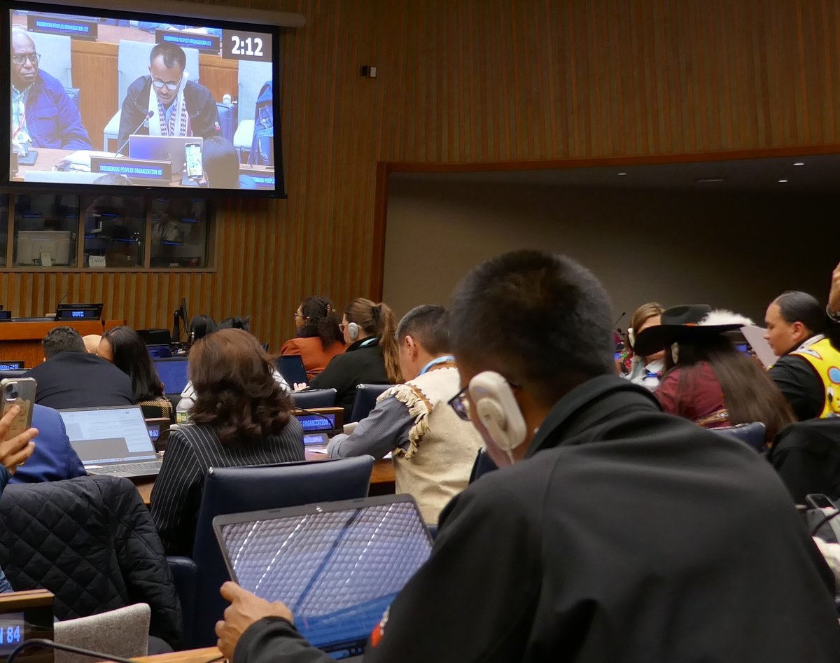 UNPFII 2024 UNITED NATIONS PERMANENT FORUM ON INDIGENOUS ISSUES STATEMENT OF JITEN YUMNAM, MANIPUR, INDIA AND LAND IS LIFE 'In the wake of the violent ethnic conflict that erupted between two major Indigenous communities on the 3rdof May 2023, the Government of India…