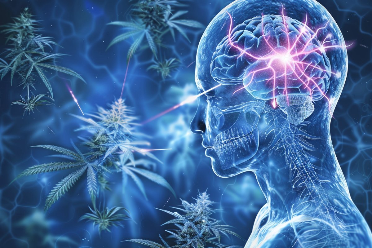 CBD’s Neuroprotective Properties Explored

Researchers made significant progress in understanding how cannabinol (CBN), a cannabinoid from the cannabis plant, could help treat neurological disorders like Alzheimer's, Parkinson's, and traumatic brain injuries.

 Their findings