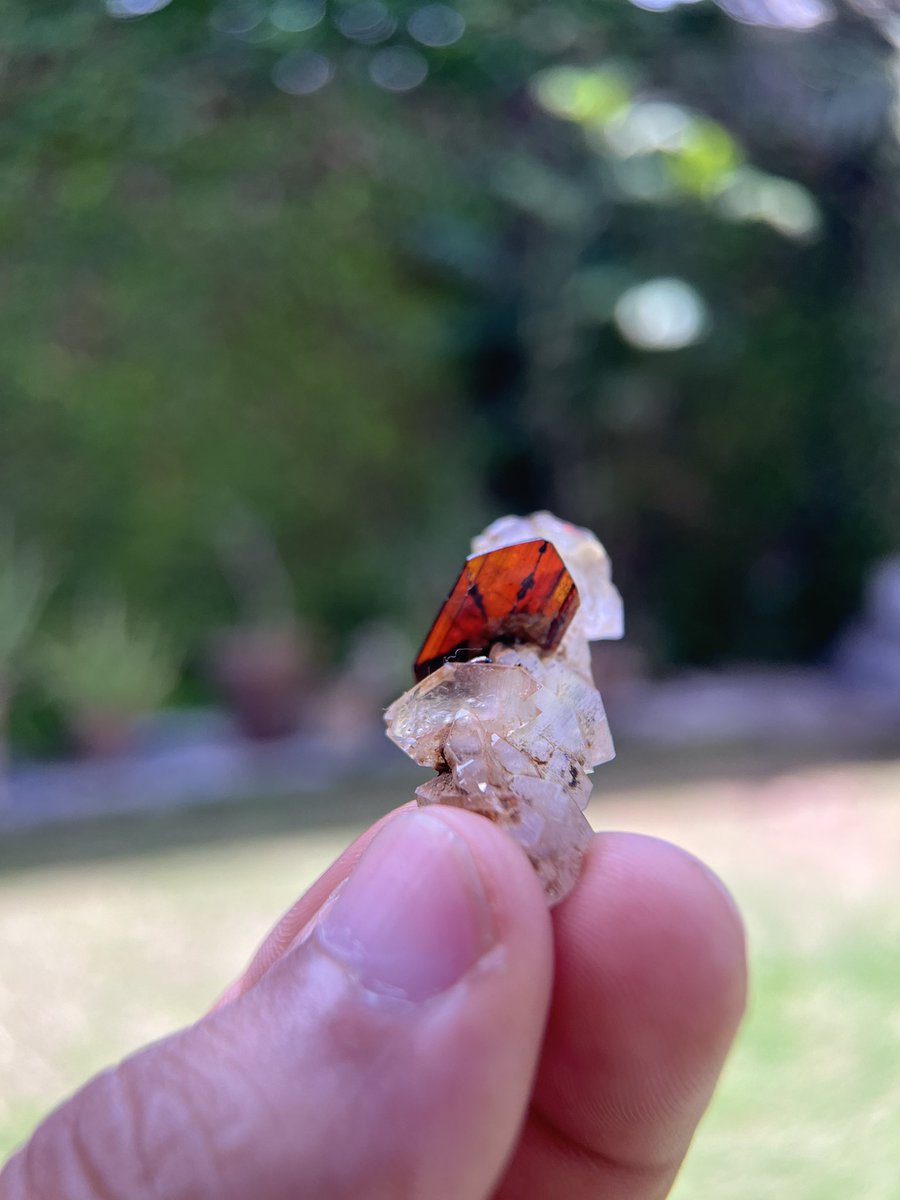 CenterMineral's tweet photo. 5 Gm Deep Red Brookite Crystal On Faden Quartz | Very Unique Format https://t.co/tjmgyb8CfE
#Deep #Red #Brookite #Crystal #Faden #Quartz #Unique #Format #brookitecrystal #fadenquartz https://t.co/aUm4Xqa83r