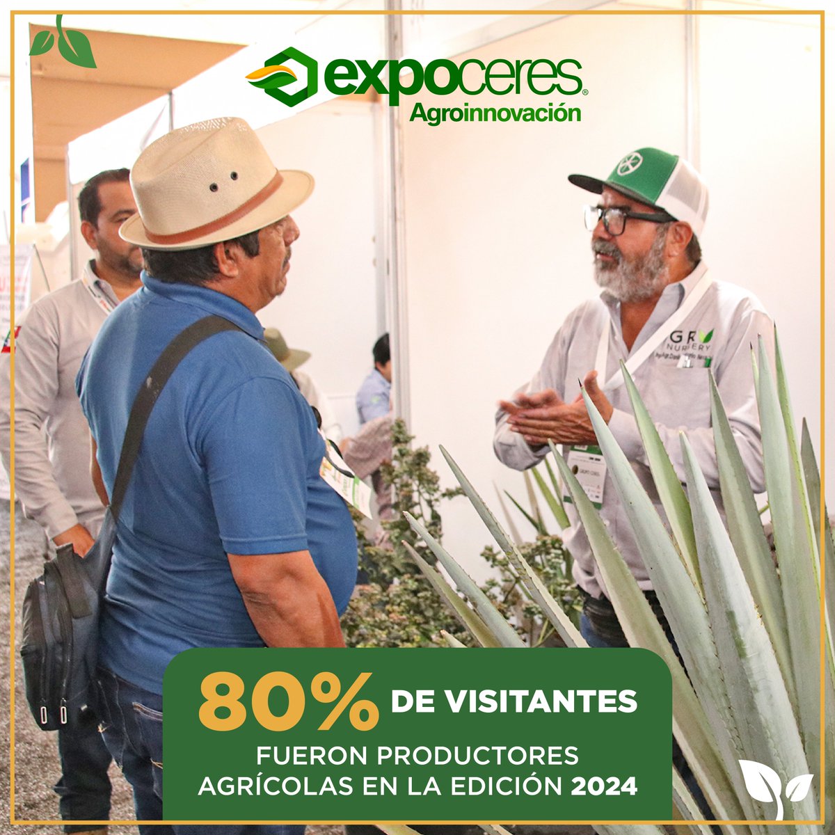 #LaMásAgroDeMéxico conecta a los productores agrícolas regionales y nacionales con las mejores empresas del sector para generar #negocios e impulsar su #campo. 🤝✨

#Expoceres #GrupoCeres #Agricultura #agronegocios