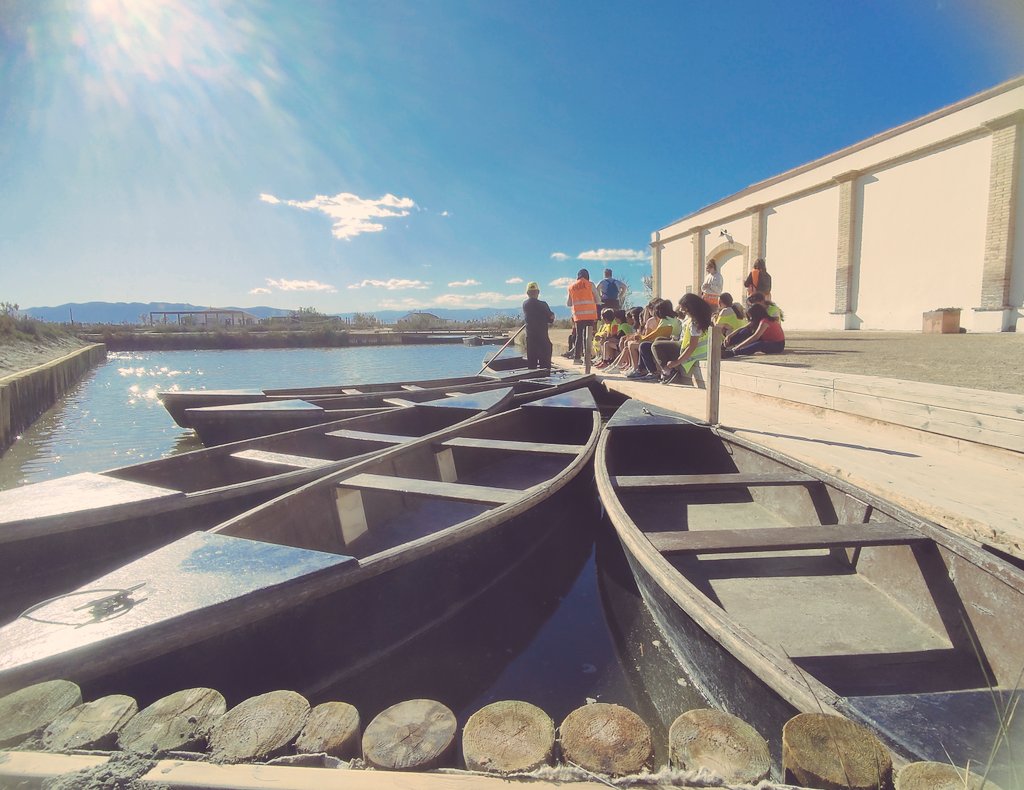 EAnglesola's tweet image. #RoundTwo a les #colònies al #DeltaDelEbre de #4t i #5è a on els #caiacs, les #bicisvoladores, el #birdwatching aka #MirarOcellsDesDeDaltAmbillusióIPassió, la #discoBarraca i alguna cosa que ens oblidem ens ha deixat per anar planxats #aDummi!