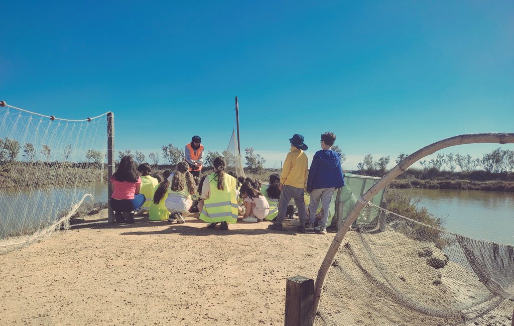 #RoundTwo a les #colònies al #DeltaDelEbre de #4t i #5è a on els #caiacs, les #bicisvoladores, el #birdwatching aka #MirarOcellsDesDeDaltAmbillusióIPassió, la #discoBarraca i alguna cosa que ens oblidem ens ha deixat per anar planxats #aDummi!