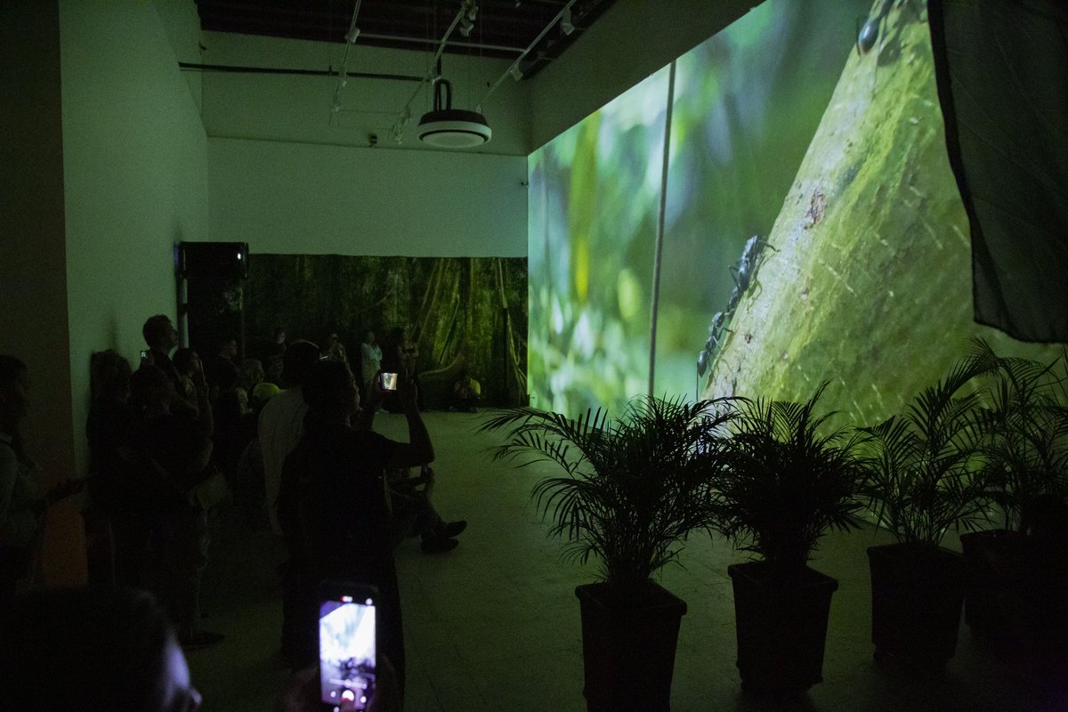 CFCECartagena's tweet image. 🖼️ #FICCI63 | ¡Visita la selva en la ciudad! Ayer en el @CFCECartagena fue inaugurada la exposición “Salvando Primates”.

📌 Es un recorrido multimedia por las diferentes selvas del país, en el que los asistentes pueden conocer las especies de primates que habitan en #Colombia.