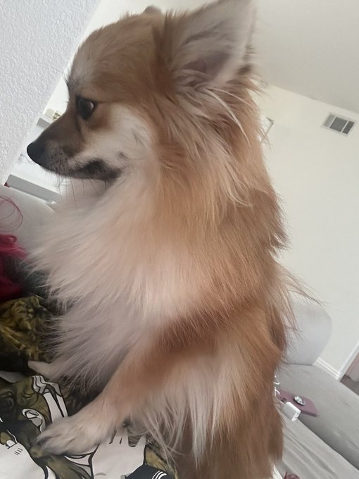 Watch Jenn's leaked NSFW photo on TwXstars