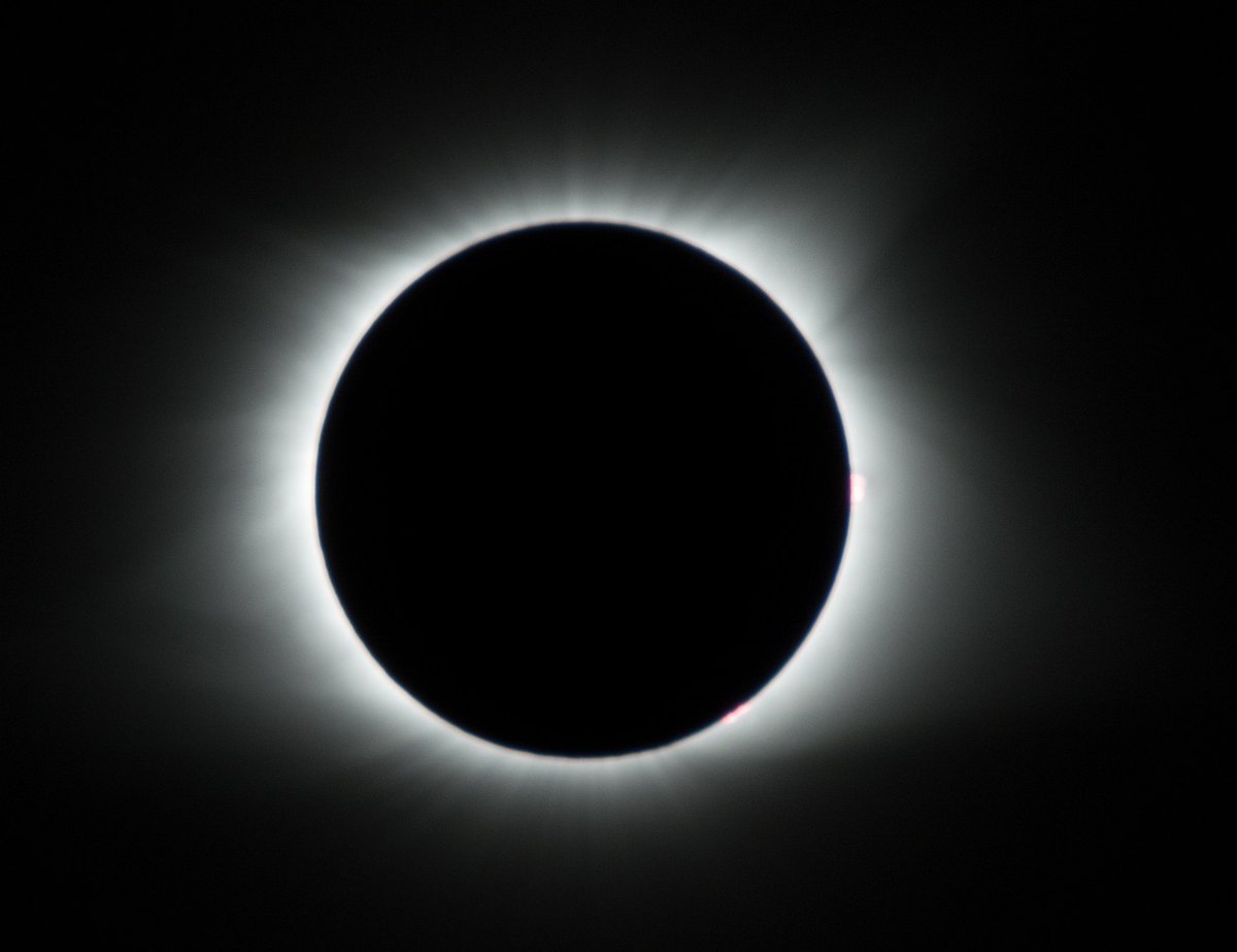 ATTN ASCB members in Ohio: Don’t let the eclipse be the only exciting thing that happens this year. Sign up for a day of virtual Hill Day meetings with members of the Ohio Congressional delegation. Stand up for science! tinyurl.com/Ohio-ASCB-Hill…