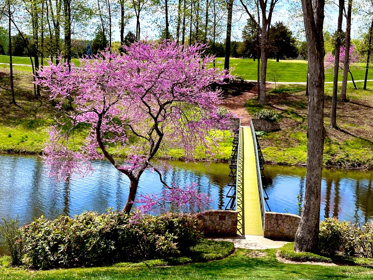 Rick Golfs tweet media