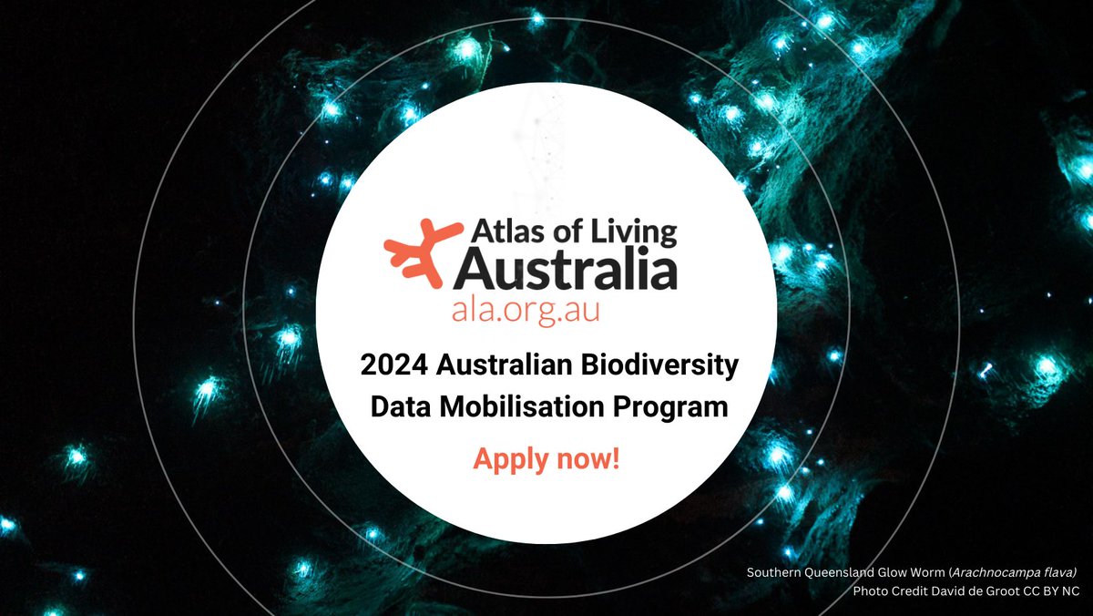 ⭐ 7 days left to get your applications in for the ALA Australian Biodiversity Data Mobilisation Program! With both general and biosecurity funding streams available, 🌱🐞 this program helps make your data open & accessible in the ALA! 💻 🔗 ala.org.au/abdmp/