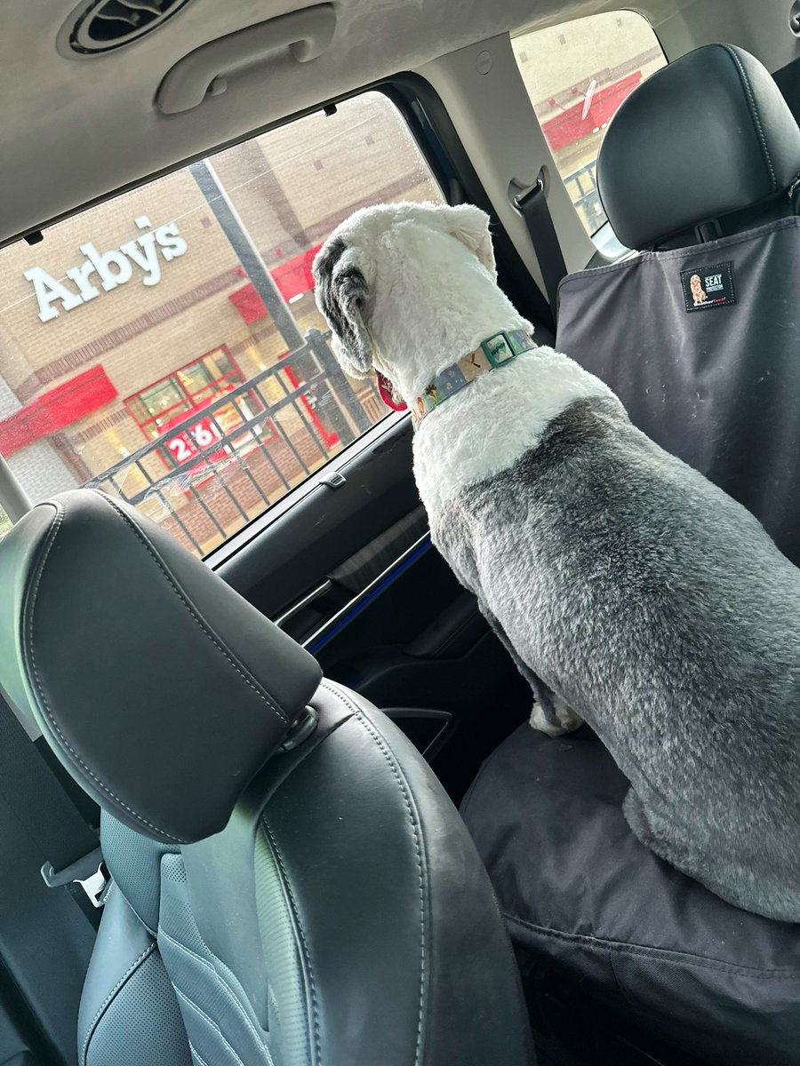 Ollie wants the meats @Arbys