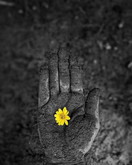 ElArteDeVivir__'s tweet photo. Si la vida no fuera dura nunca crecerías. https://t.co/3OcI4WMC0l