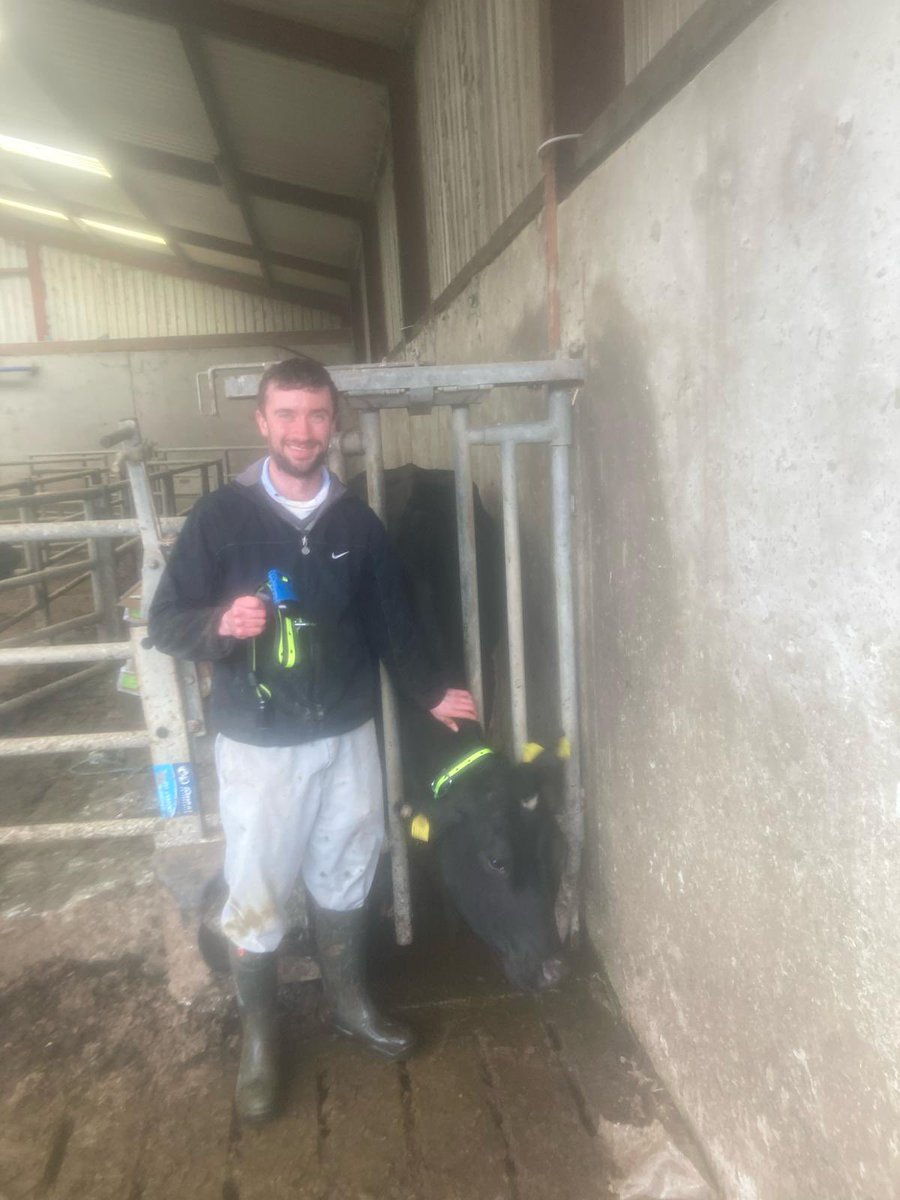 Busy last few days  installing #Sensehub collars on 2 farms in Cork - this one in Conor Corkerys. 
Still lots of time to get collars on before breeding! 
Get in touch if you’d like us to do a farm survey or get a quote 👍