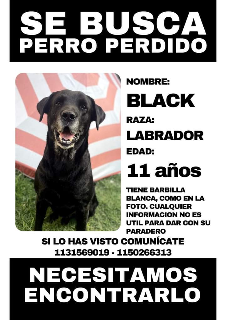 SE BUSCA DESESPERADAMENTE A BLACK!!!! SAN MIGUEL!!!
DIFUNDIR POR FAVOR!!!!
<a href="/ALEXIANA777/">MIS AMIGOS DE 4 PATAS :)</a> <a href="/PerrosPerdidos/">PerrosPerdidos</a> <a href="/nikitaneumann/">Nicole Neumann</a> <a href="/Soyeleowexler/">eleowexler</a> <a href="/soyleomontero/">Leo Montero</a> <a href="/verolozanovl/">VL 💚 🏳️‍🌈 🇦🇷</a>