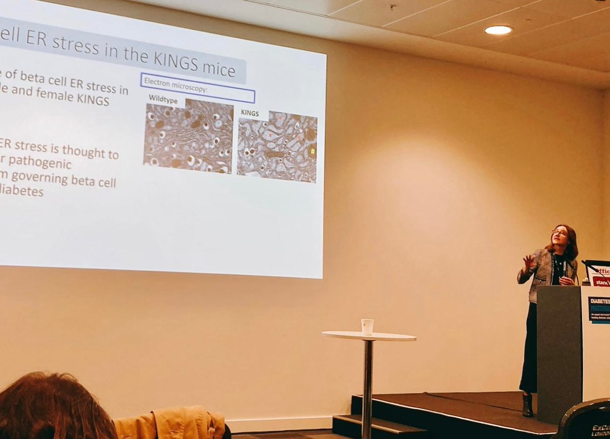 Lydia Daniels Gatward (@lydiagatward) on Twitter photo Big thanks to <a href="/DiabetesUK/">Diabetes UK</a> for the amazing opportunity to share my work on the contribution of oestradiol to sex differences in diabetes in the KINGS mouse! If you want to hear more, head over to poster 24 tomorrow! #DUKPC24 <a href="/DRG_Kings/">Diabetes Research Group @Kingās</a> Big thanks to <a href="/DiabetesUK/">Diabetes UK</a> for the amazing opportunity to share my work on the contribution of oestradiol to sex differences in diabetes in the KINGS mouse! If you want to hear more, head over to poster 24 tomorrow! #DUKPC24 <a href="/DRG_Kings/">Diabetes Research Group @Kingās</a>