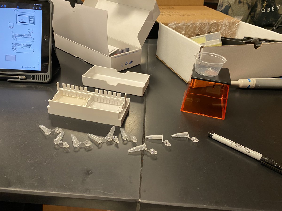 Students in Dual Credit Genetics and Society Honors preforming a simulated genetic screening test and using the data to inform a mock genetic counseling meeting. #LZHSScience @wagnersusie123 @LZ95curriculum