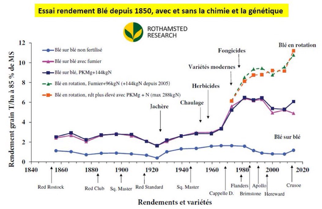 🔴Rappel utile : Un essai #blé de longue durée sur 170 ans de recul... avec et sans la chimie et la génétique. Le blé sans apport d'engrais ni de phytosanitaires a un rendement constant de 800 kg/ha, comme au moyen-âge! Juste pour rappeler d'où on vient. repository.rothamsted.ac.uk/download/377d9…