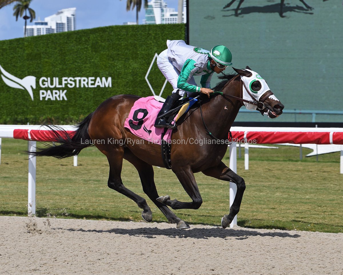 #FloridaBred Cabernet scores in race 5 for trainer @JuanRAlvarado, second victory today for jockey @zayas_edgardo. #GulfstreamPark #RoyalPalmMeet Cabernet se anota el triunfo en la 5.ª carrera para Juan Alvarado, segunda victoria hoy para Edgardo Zayas!