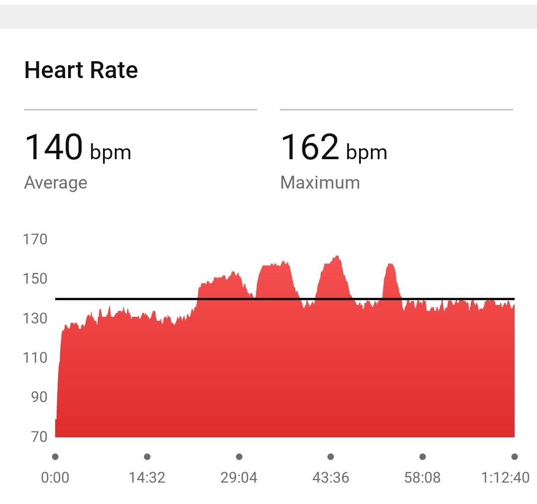 Violet Krueger tweet media