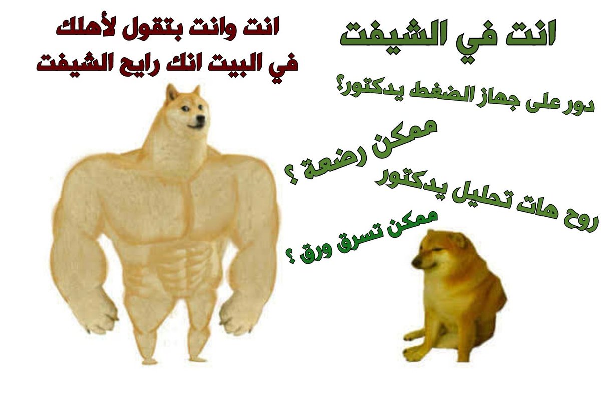 𝔸𝕞𝕣 🥥 tweet media