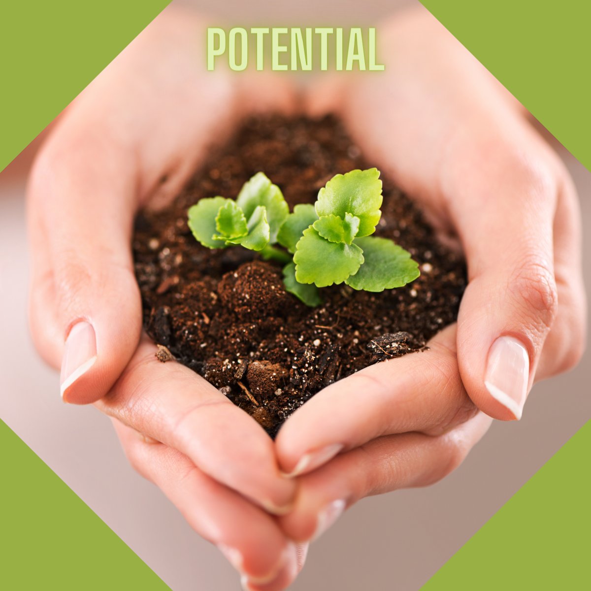 🌎 Step into a world "Beyond the Label" at our 2024 G/T Conference!
💪 Join us as we break barriers and celebrate the unique strengths of gifted and talented students.
🔎 Discover innovative approaches to education that focus on potential, not limitations. bit.ly/2024gt