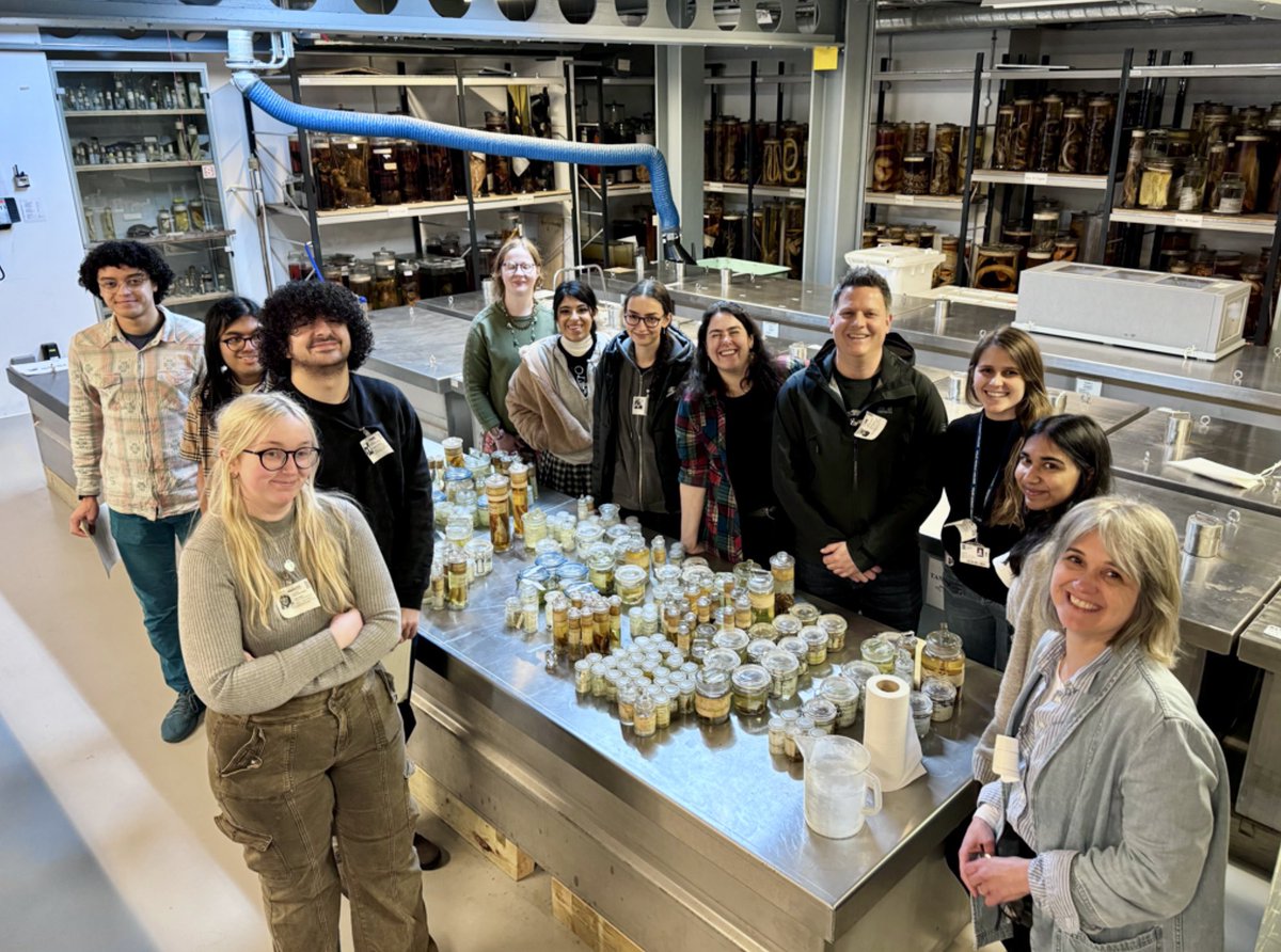 Zoology and Biological Science students at the Natural History Museum for curation sessions to help develop their understanding of conservation biology, many thanks to the NHM team.
