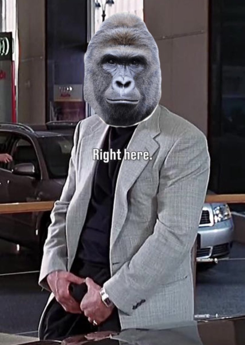 JT_XBT's tweet photo. Get your dick out for harambe https://t.co/LlI9j4REgu
