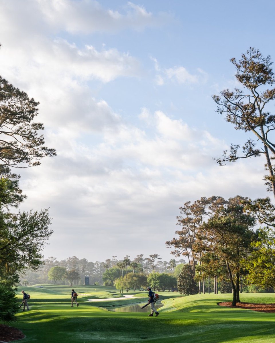 TPCSawgrass tweet picture