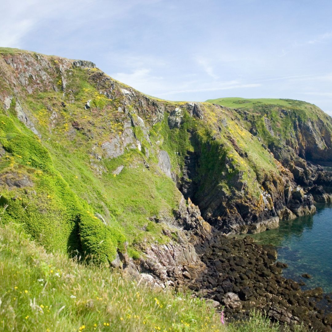 Galloway NPA tweet media