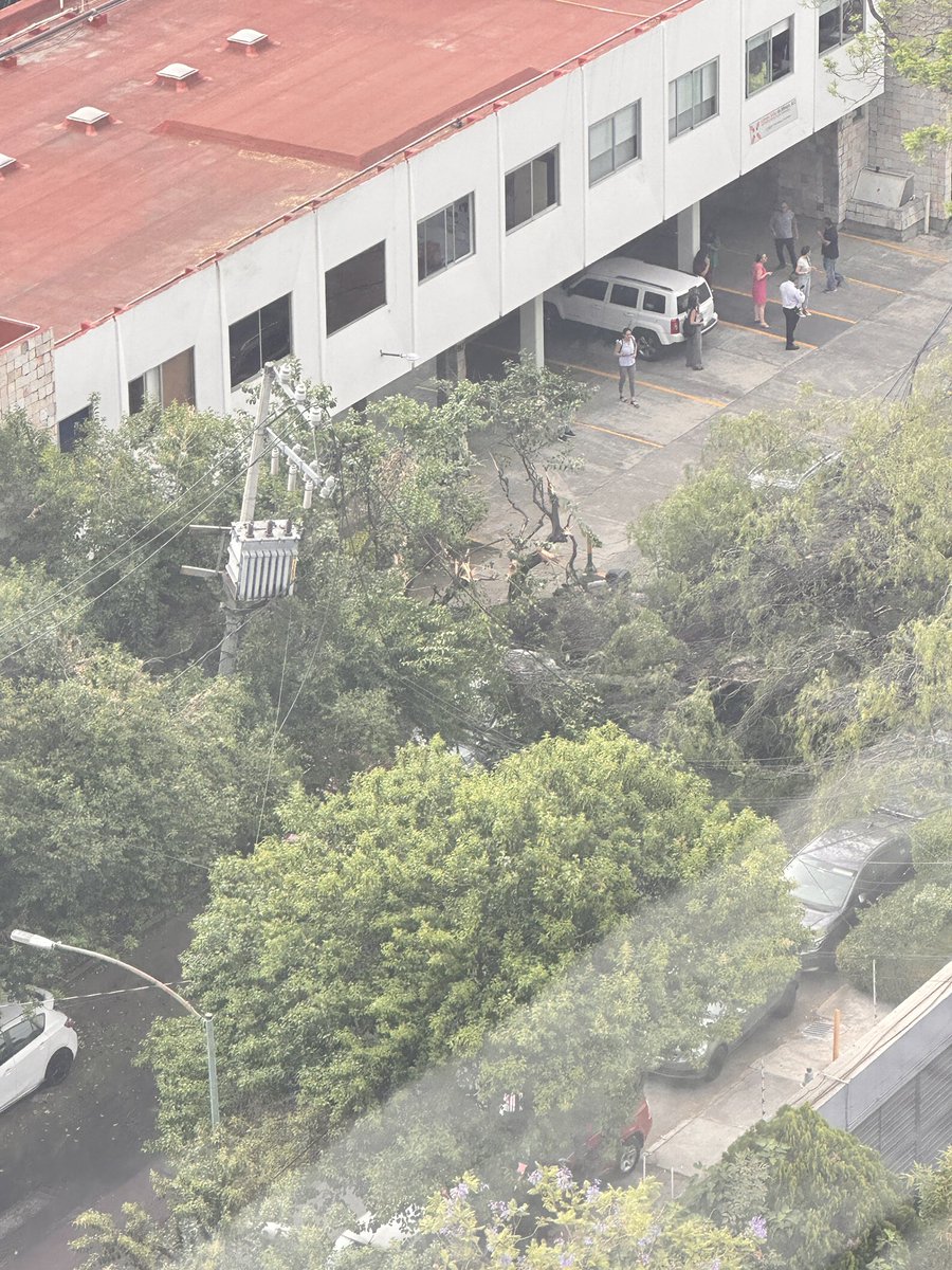 Se cayó un árbol en Nicolás San Juan entre Eugenia y San Borja y provocó que un cable de altas tensión se cayera sobre autos y personas urge que <a href="/CFEmx/">CFEmx</a> <a href="/Bomberos_CDMX/">Bomberos Ciudad de México Oficial</a> <a href="/benitojuarezcm/">Benito Juárez</a> <a href="/izzi_mx/">izzi telecom</a> <a href="/Telmex/">Teléfonos de México</a> <a href="/EmergenciaMX/">Emergencia México</a>