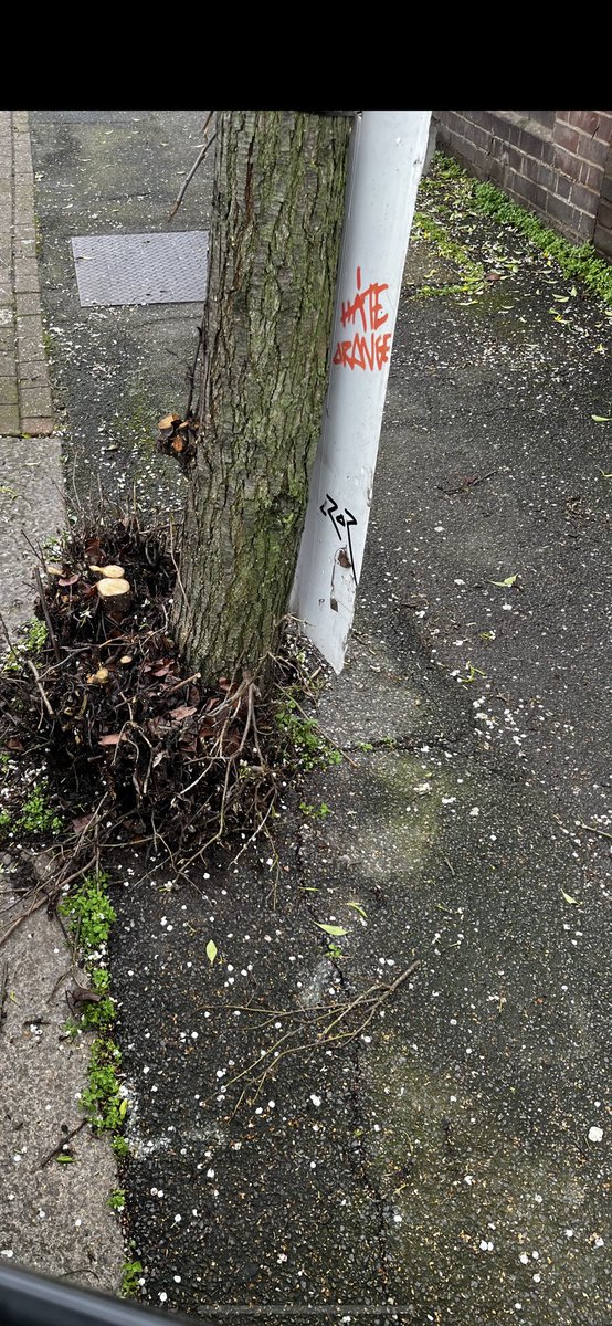 @HaringeyCP Seymour rd tree works back in March. #Haringey appears to think that this is sufficient signage. Note it’s warning pedestrians, brick wall & the hedge of the suspension. They’re sending bailiffs within 8 months, it used to be a year. Cleariy not raking in enough from Ltn fines