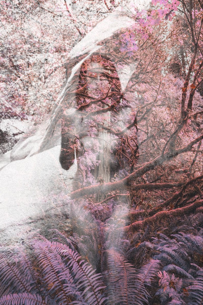 Julia Corbett tweet media