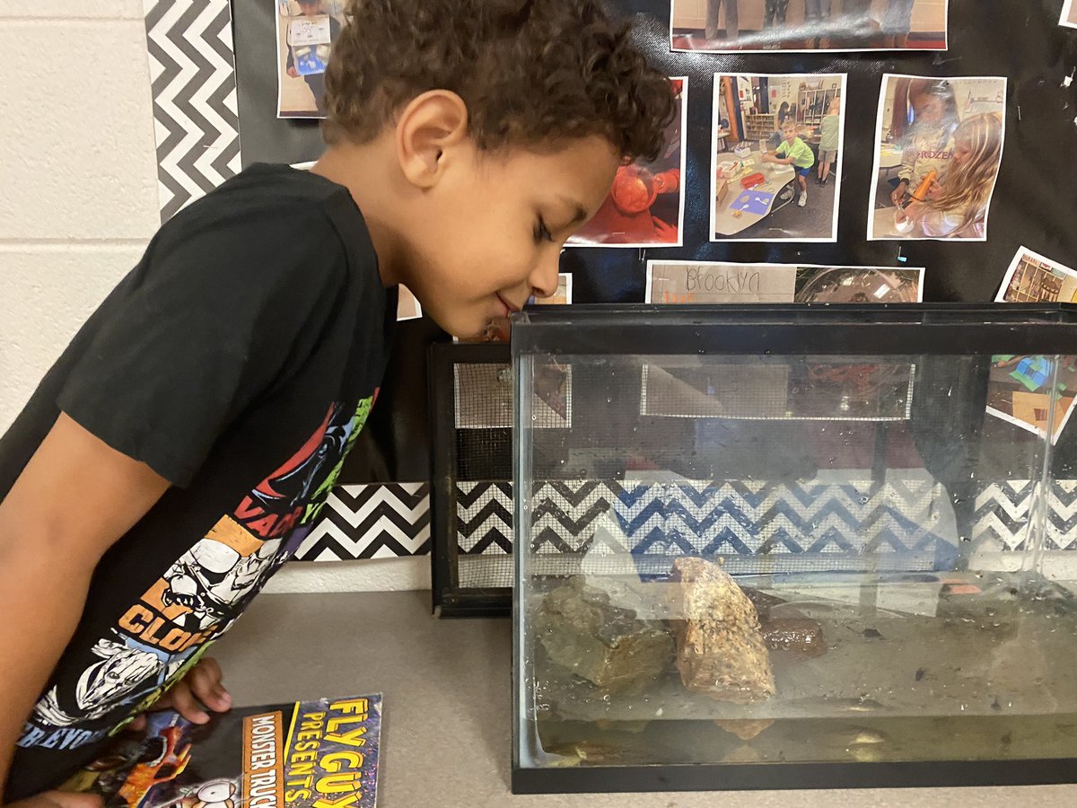 Kate Highsmith (@kate_loves_stem) on Twitter photo It’s the little things…tadpoles. Lifecycles with 2nd grade. Love that smile. <a href="/Patriots_Elem/">Patriots Elementary</a> <a href="/CCSSTEM/">Cabarrus County STEM</a> <a href="/ProgramChoice/">CCS Program Choice</a> It’s the little things…tadpoles. Lifecycles with 2nd grade. Love that smile. <a href="/Patriots_Elem/">Patriots Elementary</a> <a href="/CCSSTEM/">Cabarrus County STEM</a> <a href="/ProgramChoice/">CCS Program Choice</a>