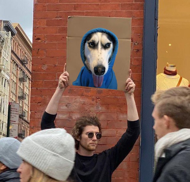 wigarso's tweet photo. @dogwifhoodTON

WOOF WOOF $WIF https://t.co/N6NATz5m4H