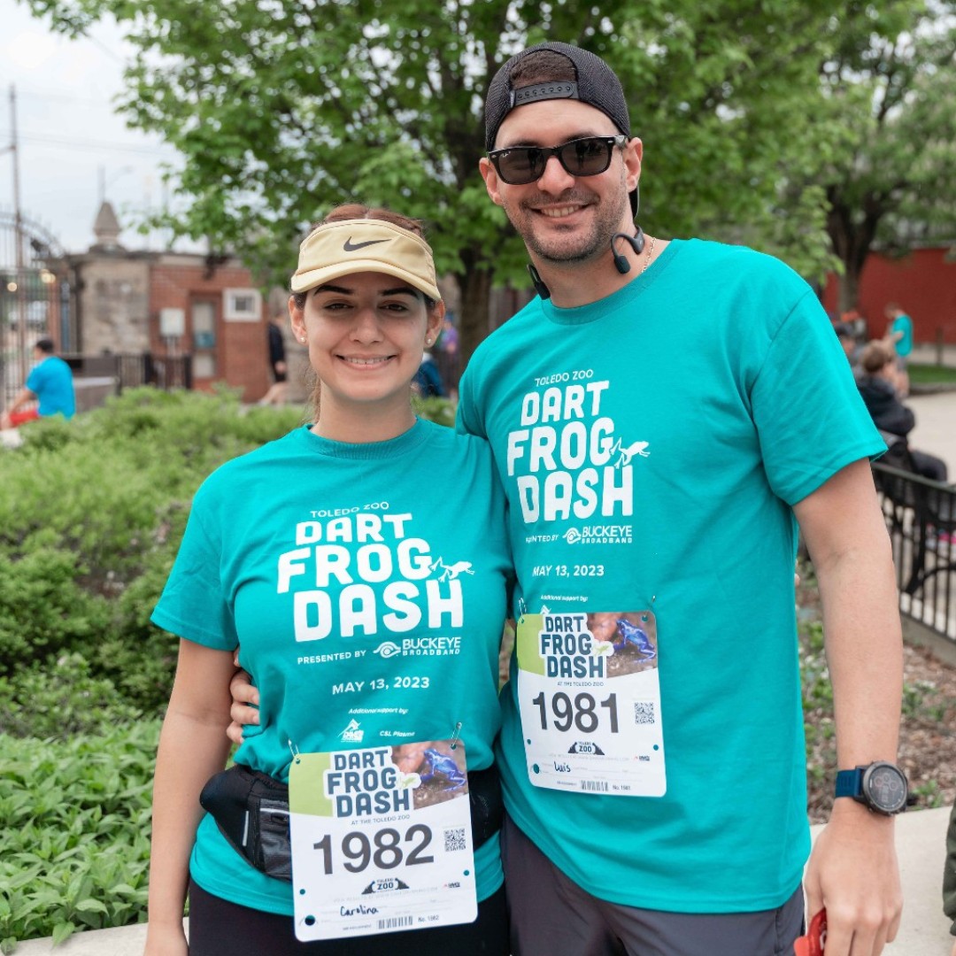 Celebrate 419 Day with a deal on Dart Frog Dash presented by Buckeye Broadband! 🏃✨ Save $4.19 on 5k race registration with code 419DAY at checkout. Offer is available now through 11:59 p.m. on April 19. Learn more and register at toledozoo.org/dartfrog