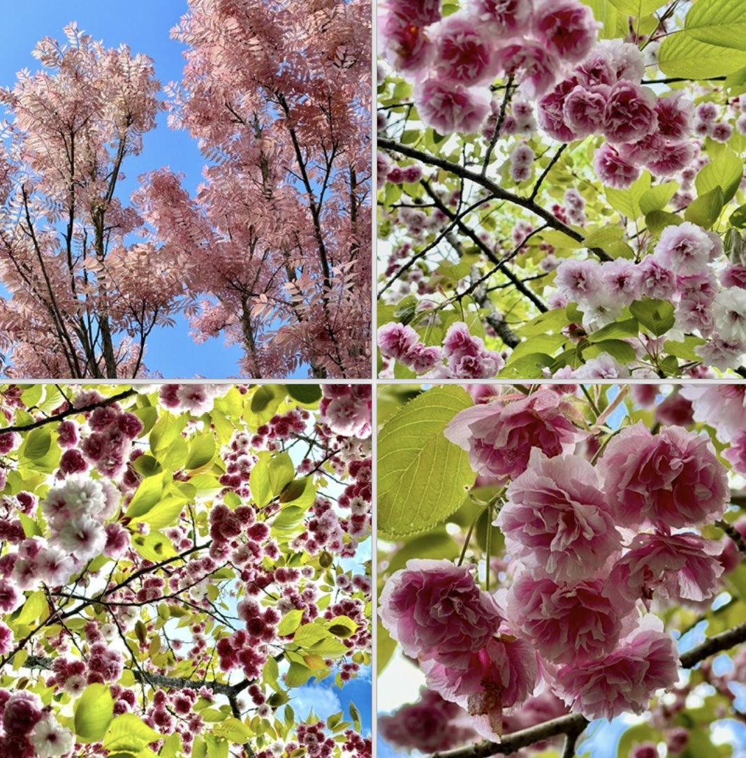 En attendant l’ouverture du Festival International des Jardins de Chaumont sur Loire