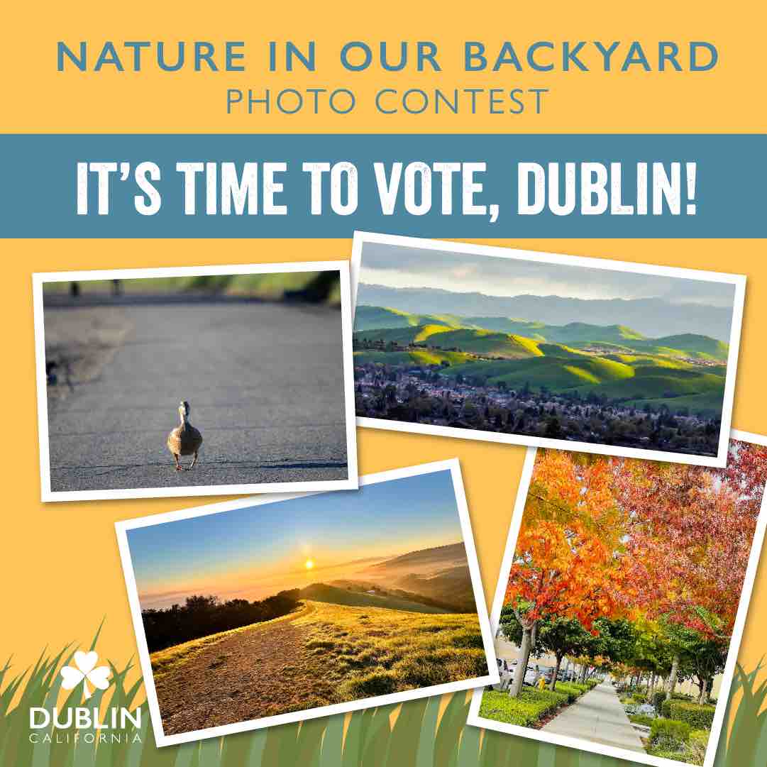 Now it’s your turn — vote for the top Nature in Our Backyard photos by 11:59 p.m. on April 24. This annual photo contest is part of Dublin Pride Week and we are thankful for the growing participation. ow.ly/LRAs50Rjocv