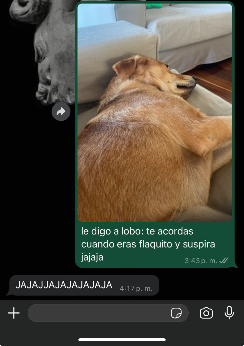 danigraizman's tweet photo. vivo para estas conversaciones con @natigraiz https://t.co/1hSBCYN6Xd