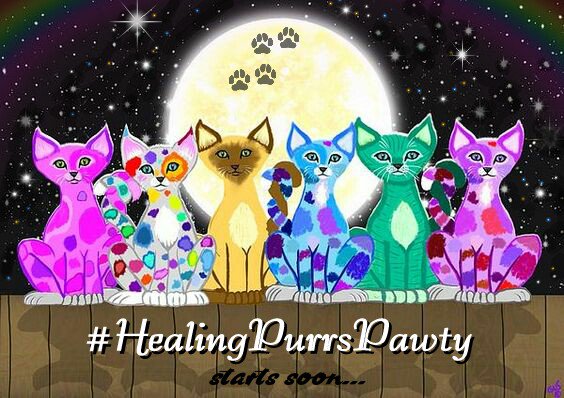 ☆°•.☆#HealingPurrsPawty☆.•°☆
(6 hourz long)

startz 2day..
• 5pm EST
• 10pm GMT (UK)
• 23:00 Purrmany

♡~♡~♡ ALL INVITED ♡~♡~♡
#wlf #wlf10thBattalion #BBoT #PA #Purrs4Peace #weeti #ZSHQ #zzst #TheAviators #pawcircle #hedgewatch #cloudriderz #roughriderz #OTLFP