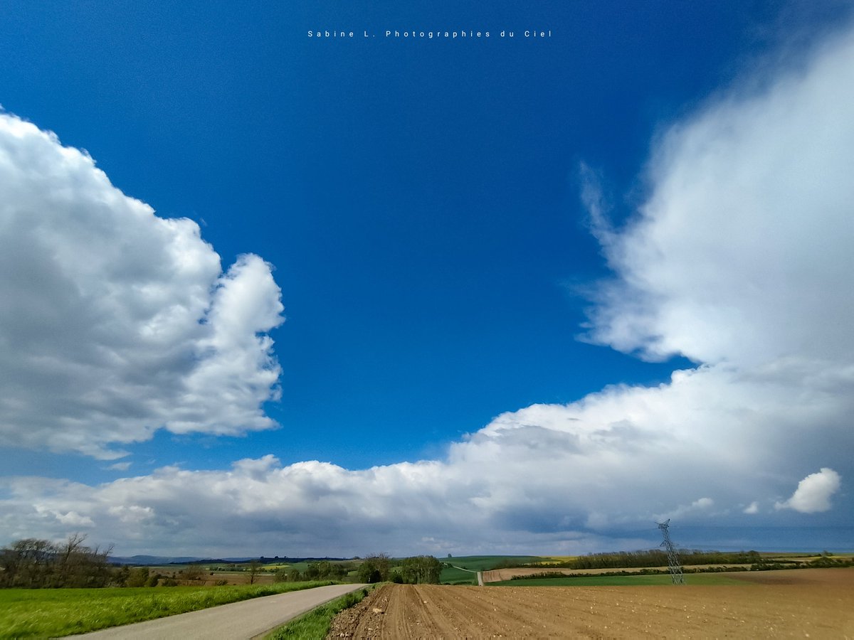 SabineL67's tweet photo. ☁️ Encore un ciel de traîne aujourd'hui !! Une journée bien plus lumineuse cet après-midi... 
🌡️2⁰C ce matin contre 🌡️6 à 11⁰C cet après-midi.
📷 #Crastatt #Wasselonne #Marlenheim #Ittenheim (67) 

#Alsace #BasRhin #Météo #Météo67 https://t.co/Pw2Vvek2o0