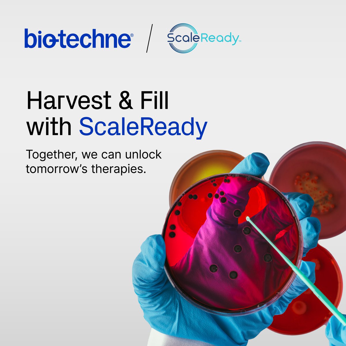 Harvest your immune cells with confidence and maintain cell viability with our partners at ScaleReady. Together, we're accelerating immune therapies with scalable, cost-effective workflow solutions. More here: bit.ly/49oMMUa #CellTherapy #ScaleReady #ClinicalAdvances