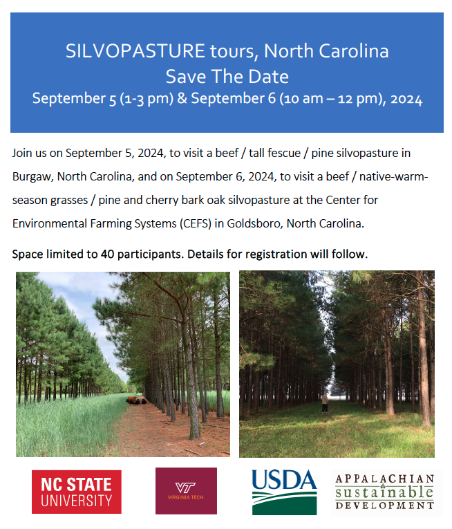 Save-the-date, September 5 & 6, 2024; Silvopasture tours in North Carolina. Registration details will follow. @CropAndSoil @NCExtension @infoCEFS @NCForageCouncil @NCCattle @NRCS_NC @USDA_NRCS