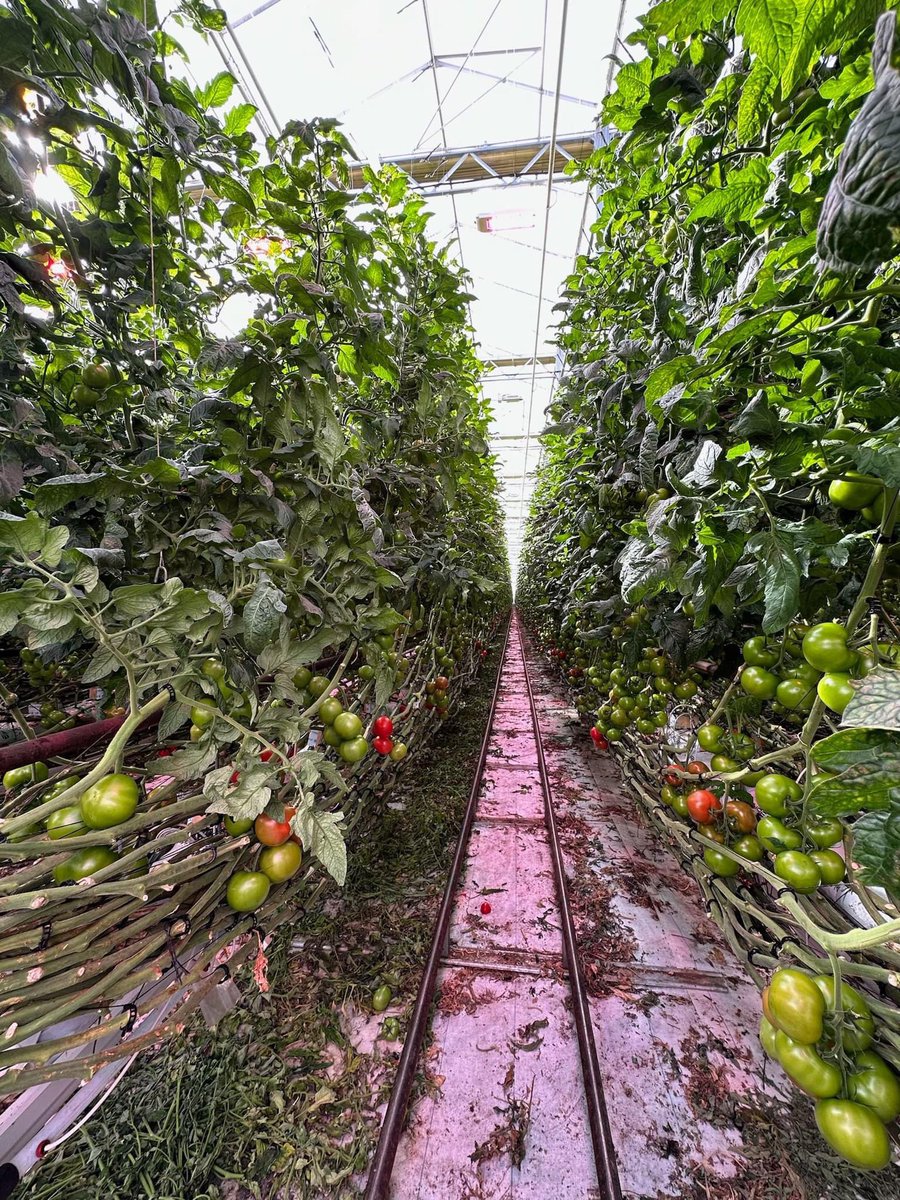 AdvancedAg tweet media