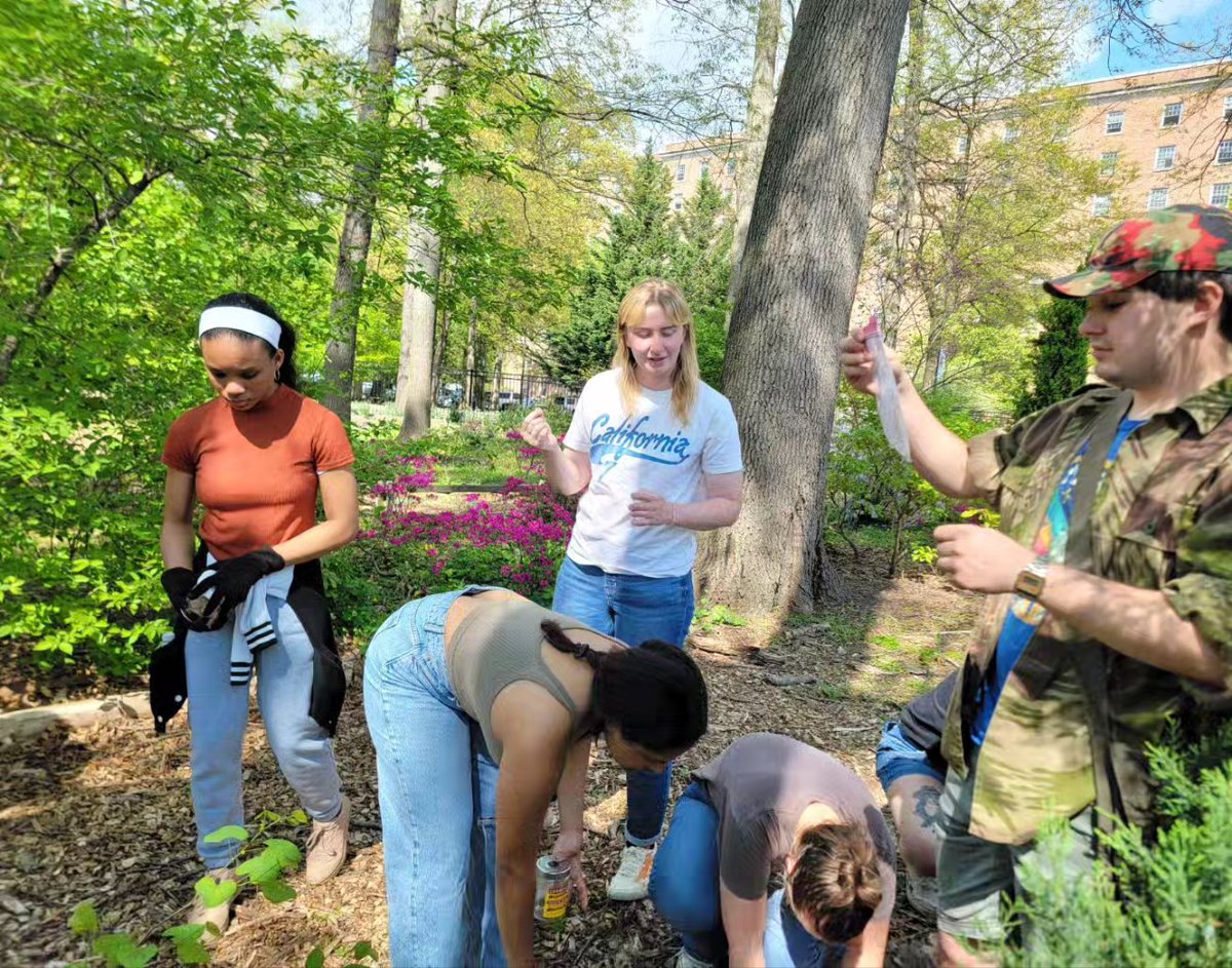 Another fun #BSCI337 collection field trip 🌻🦋🐛🪰🐞 this time to the bee wall🐝 at the #umd arboretum with horticulturalist Sam Bahr🌻 @umdscience @UMDEntomology