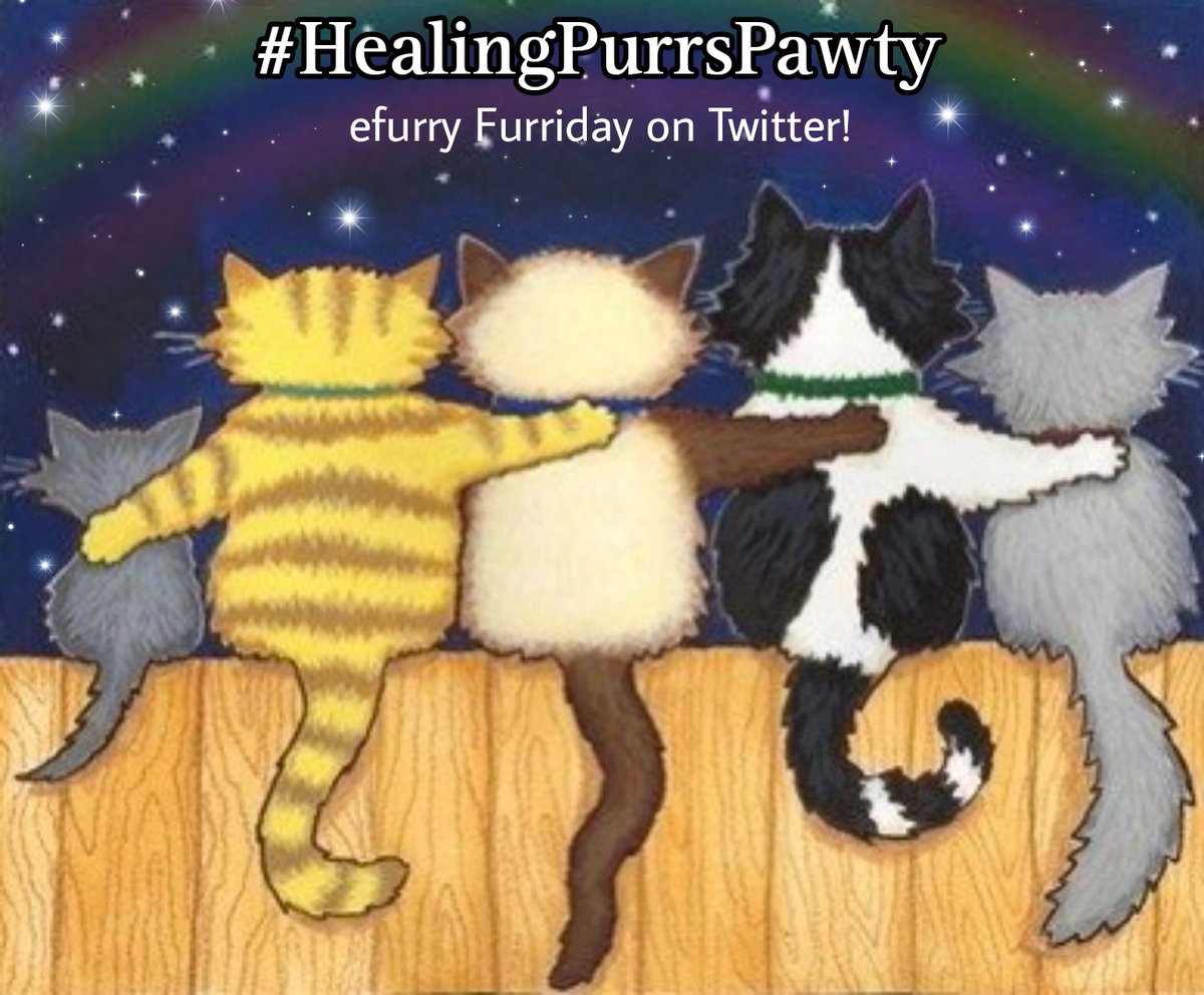 Itz Furriday again, meanz anofer
☆°•.☆#HealingPurrsPawty☆.•°☆

s t a r t z
• 5pm EST
• 10pm GMT (UK)
• 23:00 Purrmany
2 d a y !

♡~♡~♡ ALL INVITED ♡~♡~♡

#wlf #wlf10thBattalion #BBoT #PA #Purrs4Peace #TheAviators #pawcircle #ZSHQ #zzst #hedgewatch #cloudriderz
