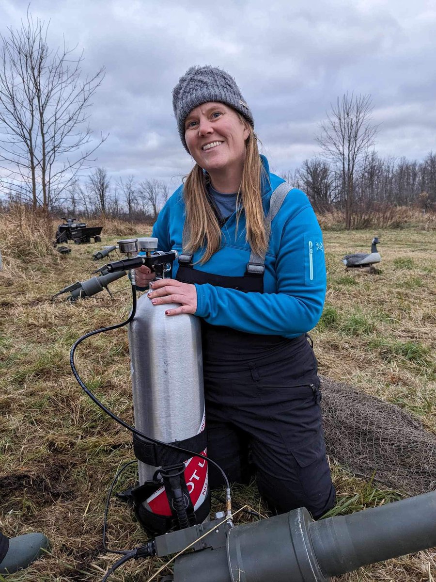 #WomenInSeabirdScience
Regina Wells is a Wildlife Biologist at Environment and Climate Change Canada who uses new #migratorybird capture techniques for offshore islands in #Labrador focusing on marine-based culturally significant species including #ducks #gulls #seabirds &amp; #geese