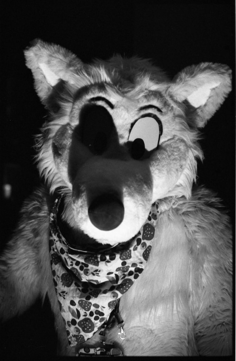 ScurrowSquirrel's tweet image. Monday: Lost, confused
Tuesday:  vibrating with angst
Wednesday:  Finally awake
Thursday:  Sleep deprived
Friday:  Too aloof to exist
Saturday and Sunday: