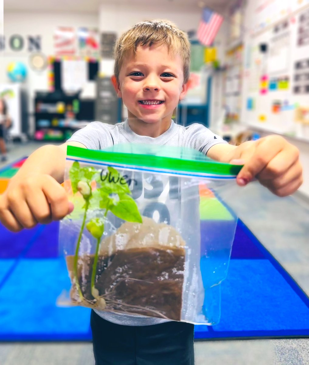 This little guy wants you to see what his lima bean seed has grown into “in just 5 days!” 🌱#WilsonWay