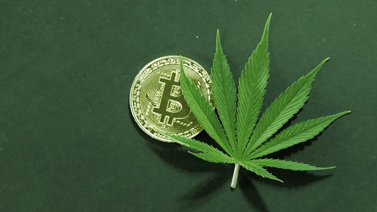 pet_mwas's tweet photo. @BitcoinHalving   Expected on 4/20. https://t.co/dJ4KJLF8s3