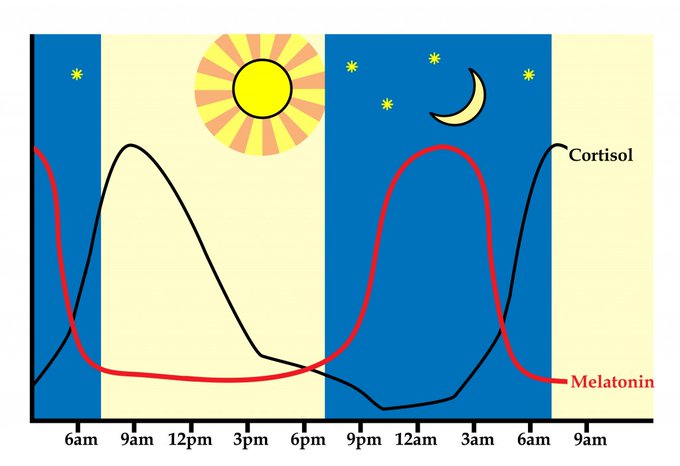 #publichealth #aging #geriatrics #AI #medicine #primaryhealthcare #pathology #breastcancer #dementia #Alzheimers #NCDs

It is the job of preventative healthcare to monitor

levels and ratios of
circulating short-chain fatty acids (SCFAs)

and the 24-hour cortisol-melatonin rhythm