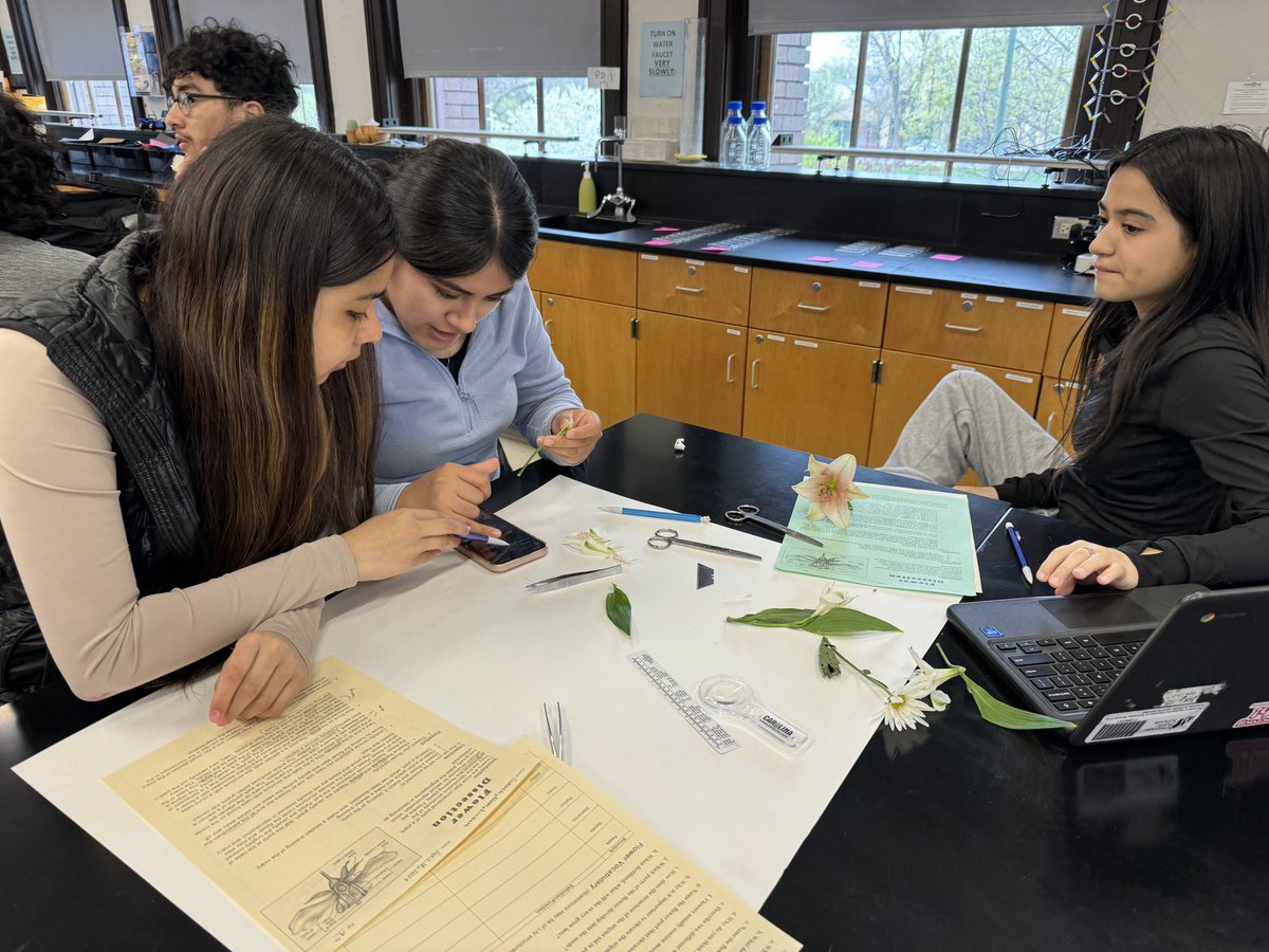 MrArsenie's tweet image. Wrapping up reproduction with my @CarlSchurzHS #ibbio seniors with a quick flower dissection and examining pollen and other structures microscopically! One more quick Mendel review and we’re done!