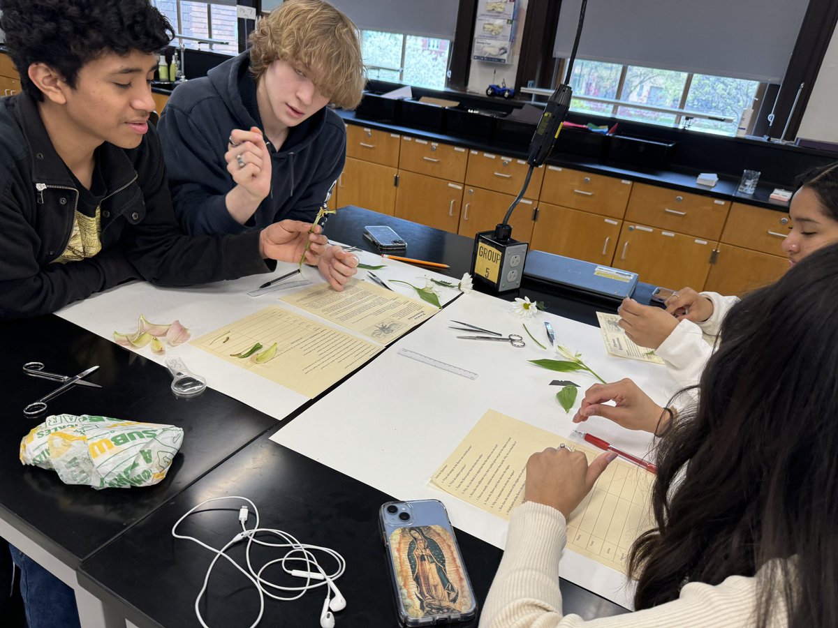 MrArsenie's tweet image. Wrapping up reproduction with my @CarlSchurzHS #ibbio seniors with a quick flower dissection and examining pollen and other structures microscopically! One more quick Mendel review and we’re done!